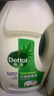 滴露（Dettol）衣物除菌液松木3L 内衣袜子衣物长效杀菌除螨 衣服消毒液儿童可用 实拍图