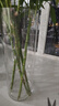 京东鲜花花瓶摆件防摔大号pet透明醒花桶落地插花富贵竹马醉木水养鲜花 实拍图