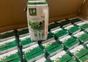 伊利【新鲜日期】金典纯牛奶整箱 200ml*24 3.6g乳蛋白礼盒装 4-5月 实拍图