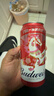 百威啤酒TOP淡色拉格450ml*18听整箱装京东自营新老包装混发踏春送礼 实拍图