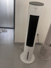 美的（Midea）【APP智能】家用空调扇落地遥控冷风扇/负离子净化加湿冷风机/水冷无叶塔扇强力制冷冷气扇AAF10MR 实拍图
