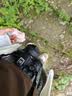 佳能（Canon）EOS R50 微单半画幅相机 r50小巧便携 Vlog拍摄直播相机 4K短视频  学生微单相机 R50黑色单机+RF50F1.8【人像小痰盂】 官方标配【京东多仓发~快可次日达】 实拍图