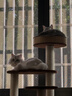 ZEZE复古风藤编夏季凉感猫爬架降温猫窝猫树一体跳台猫抓柱猫别墅 实拍图