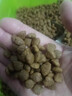 麦富迪狗粮 藻趣儿狗粮成犬粮牛肉螺旋藻 均衡营养15kg/30斤 实拍图