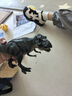 麦趣星球儿童大号恐龙模型玩具动物礼物侏罗纪远古猎食霸王龙 实拍图