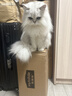 麦富迪 猫粮 barf霸弗生骨肉主食冻干双拼天然粮鲜肉营养无谷高肉高蛋白 【囤货装】鲜鸡肉+牛肉混合|成猫粮7.2kg 实拍图