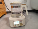 小白熊全玻璃恒温水壶调奶器婴儿电热水壶烧水壶冲奶1.2L 5025随机发货 实拍图