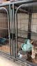 狗笼子宠物店大中小型犬寄养带隔断繁殖笼托盘三层繁育子母鸽子笼 102*60*67cm单层带托盘带隔断-黑色 实拍图