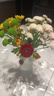 吕姆克花瓶玻璃客厅摆件鲜花插花仿真干花富贵竹水养花瓶透明两个装5043 实拍图