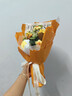 京东鲜花向日葵一举夺魁毛线针织成品永生花束高考祝福礼物毕业送同学老师 实拍图