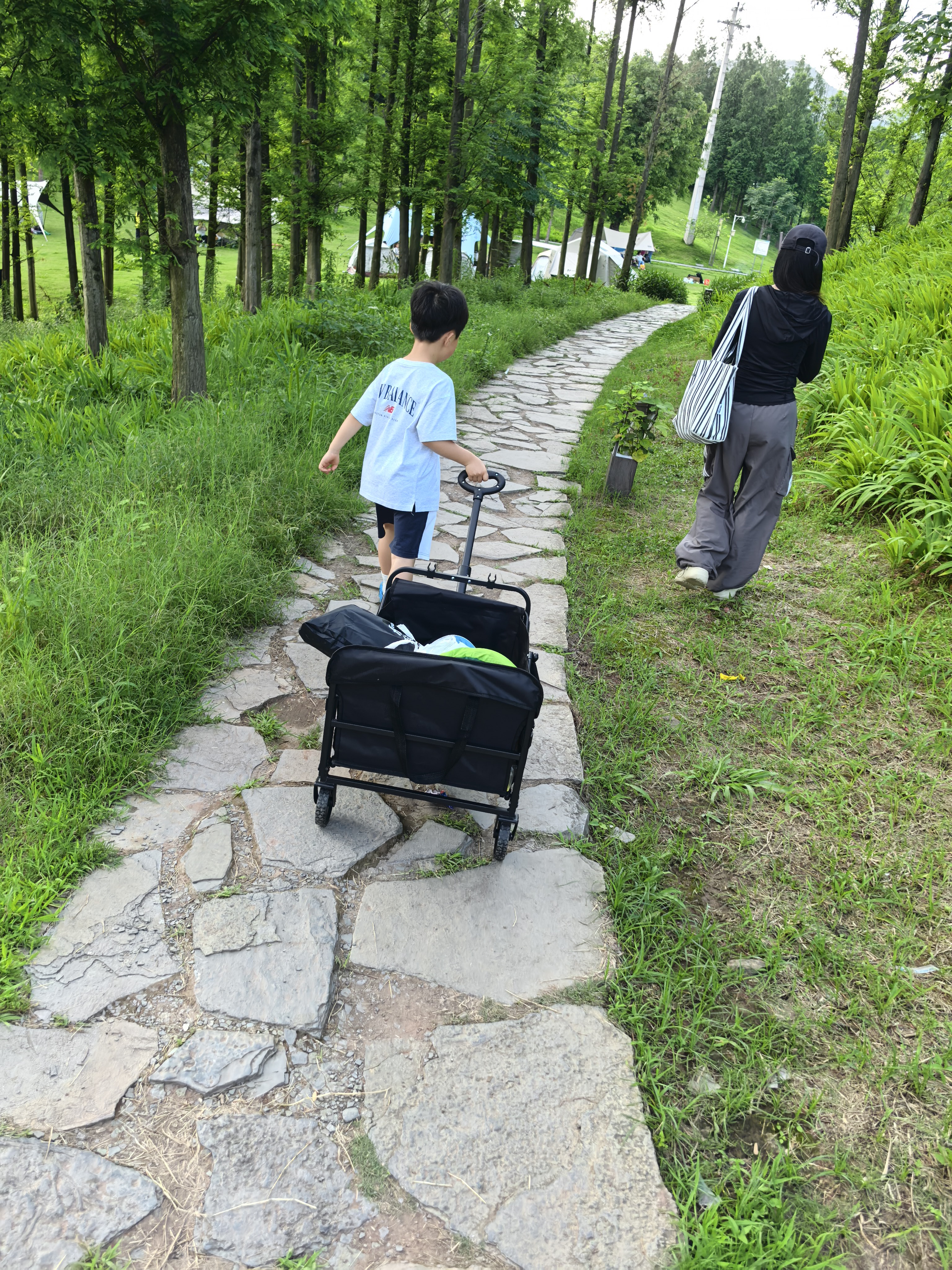 探险者（TAN XIAN ZHE）户外露营小推车折叠露营推车营地拖车野餐桌板手拉车摆摊快递车 250L 曜石黑升级车架-后开+桌板 实拍图