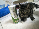 修灭盾跳蚤杀虫剂驱虫除虫药喷雾猫狗体外虱子蜱虫宠物草本喷剂500ml 实拍图