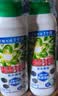 碧浪除菌洗衣原液夏日海风1.6斤瓶装 1次去黄 7天抑味【刘宇宁心选】 实拍图