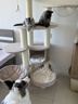 兽牌森林猫爬架大型猫树猫窝一体豪华剑麻猫架太空舱缅因大猫四季适用 森林【经典款】 实拍图