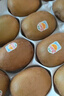 佳沛（zespri）新西兰 金果25-27粒特大单果124-146g 端午礼物水果礼盒 猕猴桃 实拍图