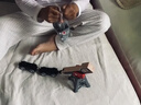 Hape(德国)火车轨道玩具木质拼插diy小镇运输收纳套生日礼物E3764 实拍图