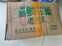 庾丰 海南芒果 新鲜水果生鲜整箱当季大青皮金煌芒 热带孕妇玉芒果 10斤装(净果9斤)单果200g+ 实拍图