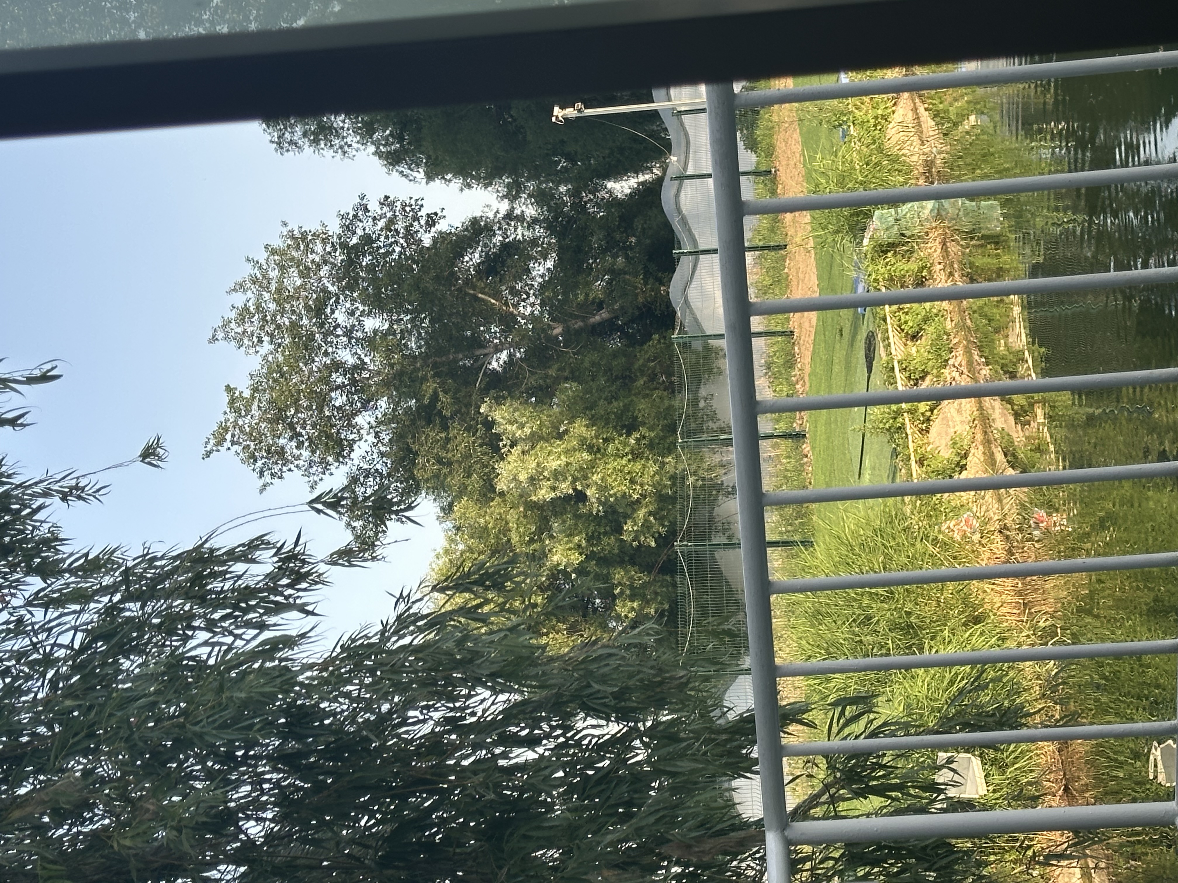 蚁族宠物推子剃毛器电推子剃脚毛4合1充电理毛器理发器可剃头含指甲钳 实拍图