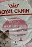 皇家幼猫猫粮 幼猫奶糕 K36 通用粮 4-12月 2KG 实拍图