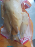 育青食品 盐焗鸡500g 台湾客家风味烧鸡 即食熟食白切手撕鸡 盐焗鸡500g 实拍图