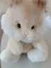 澳贝（auby）婴幼儿玩具宝宝早教唱跳躲猫猫安抚小兔毛绒玩偶生日新生儿见面礼 实拍图