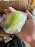 广东香水柠檬包邮新鲜水果柠檬精选皮薄奶茶店【百补优选】 柠檬净重3斤单果净重50g+ 实拍图