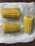 精品黄糯玉米 真空包装 新收粘玉米糯玉米加热即食粗粮代餐 黄金8cm玉米3段 单段130-180g 实拍图
