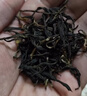 七春英红九号茗茶 英德红茶暖胃口粮茶功夫茶叶 广东特产250g 实拍图