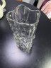 墨斗鱼冰川透明玻璃花瓶简约轻奢桌面摆件鲜花插花生日礼物 实拍图