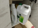 滴露（Dettol）消毒液5L大桶装消毒水家用商用工业车间酒店物业衣物环境消毒杀菌 实拍图