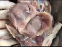 泰森（Tyson）奥尔良鸡翅300g 冷冻全翅伴翅含翅中翅根油炸烧烤空气炸锅半成品 实拍图