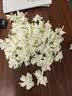 北大荒东北黑蜂 冰天雪蜜 椴树成熟纯蜂蜜500g 端午节送父母长辈礼品 实拍图