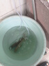 sobo松宝 鱼缸氧气泵 水族箱增氧泵 养鱼氧气泵  水族用品 双孔12W 【贈全套配件】 实拍图