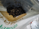 双塔黑木耳250g 东北特产干木耳小碗耳肉厚凉拌火锅食材南北干货 实拍图