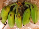 苹果蕉新鲜广西香蕉自然熟芭蕉香甜粉糯万澄现摘生鲜现发水果 带箱2斤【4-8根】 实拍图