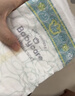 babycare金山茶花婴儿纸尿裤mini装NB34片(<5kg)新生儿尿不湿【新老混发】 实拍图