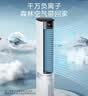 美的（Midea）【冰爽净化】家用空调扇加湿智能声控负离子落地冷风扇电风扇冷风机水冷塔扇 强力制小空调AAI12PV 实拍图