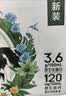 伊利【新鲜日期】金典纯牛奶整箱 200ml*12盒 3.6g乳蛋白礼盒装 4月 实拍图