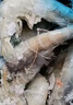 禧美海产白对虾 无冰净重400g/盒 22-27只 盐冻锁鲜 烧烤 烧烤轻食 端午 实拍图