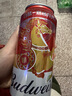 百威啤酒TOP淡色拉格450ml*18听整箱装京东自营新老包装混发618爆款 实拍图