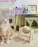 欢宠网猫玩具猫咪猫抓球抓板柱磨猫爪滚球逗猫自嗨解闷神器猫猫小猫幼猫 实拍图