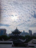 同仁堂北京同仁堂蜂胶黄芪软胶囊辅助保护胃黏膜养胃护胃舒缓胃痛*1瓶 实拍图