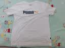 彪马（PUMA）短袖男夏季新款圆领纯棉t恤衫休闲半袖青少年透气运动服高档上衣 【主推经典款】彪马白/纯棉柔软 M 175 【推荐体重120-140斤】 实拍图