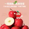 乐淇（ROCKIT）王一博代言火箭苹果 6筒礼盒装中筒245g起5粒*6筒 生鲜水果礼盒 实拍图