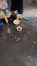 奥丁（ODIN）NEO老年犬狗粮成犬小型中大型犬通用柯基金毛高龄犬专用狗粮1.5kg 实拍图