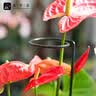 九千谷植物爬藤架包塑钢管园艺支架护花架支撑杆圆环型45CM5个装6423 实拍图