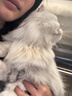 LEGENDSANDY蓝氏猫粮生鲜猎鸟鲜乳鸽生骨肉冻干高蛋白全价成猫粮幼猫通用型 试吃尝鲜装丨荒野猎兔丨50g 实拍图