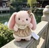 威尔通（WELTSTON）毛绒玩具钥匙扣兔子玩偶布娃娃挂坠七夕情人节礼物女友贝拉兔挂件 实拍图