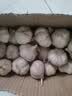金乡新干蒜新鲜品质生鲜蔬菜调味料金乡农家自种大蒜小果3.5-4.5 新鲜干蒜含箱2斤（净重900g） 实拍图