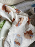 babycare新生婴儿纯棉拍嗝垫背巾护肩宝宝口水巾可机洗云端小狗57*26cm 实拍图